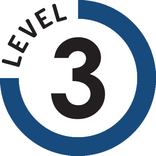 logoLevel3